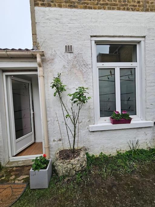 Studio Avec Jardin Rosendael Proche Plage Dunkirk Екстер'єр фото
